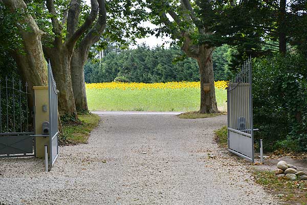 Park